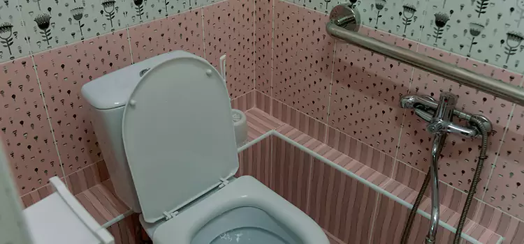 Meeting Diverse Needs With Accessible Restroom Solutions in Lakeland, FL