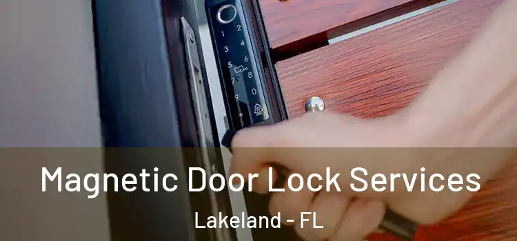 Magnetic Door Lock Services Lakeland - FL